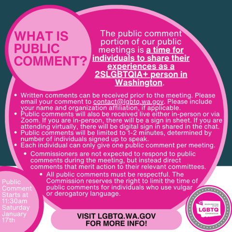 What is public comment?